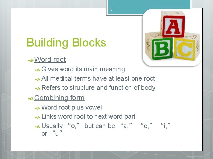 5 Building Blocks Word root Gives word its main meaning All medical terms have