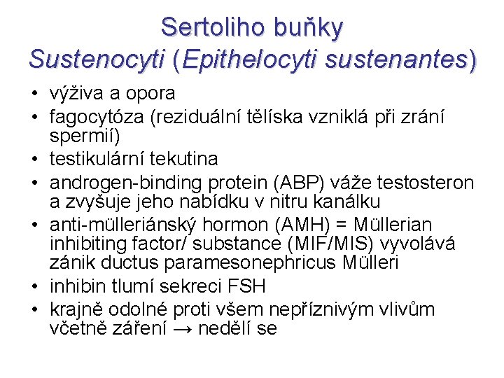 Sertoliho buňky Sustenocyti (Epithelocyti sustenantes) • výživa a opora • fagocytóza (reziduální tělíska vzniklá