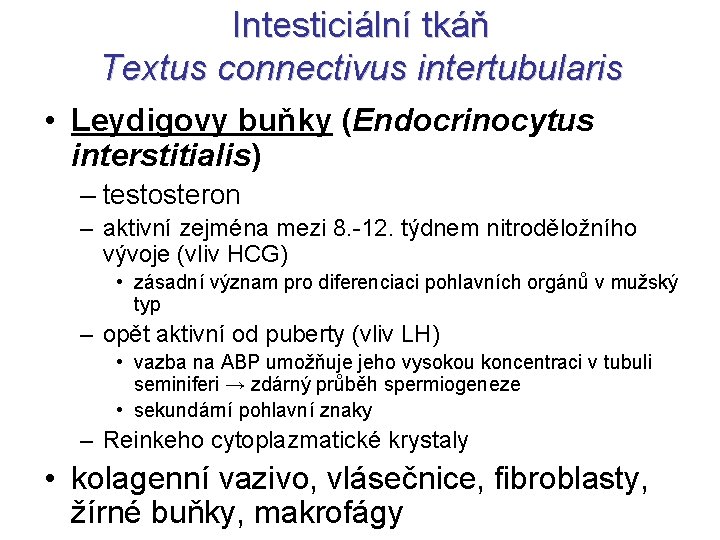 Intesticiální tkáň Textus connectivus intertubularis • Leydigovy buňky (Endocrinocytus interstitialis) – testosteron – aktivní