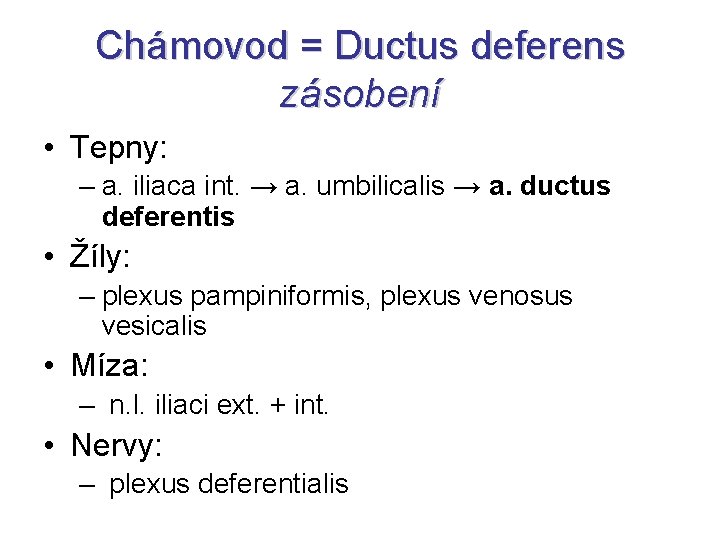 Chámovod = Ductus deferens zásobení • Tepny: – a. iliaca int. → a. umbilicalis