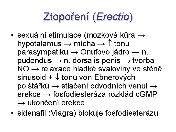 Ztopoření (Erectio) • sexuální stimulace (mozková kůra → hypotalamus → mícha → tonu parasympatiku