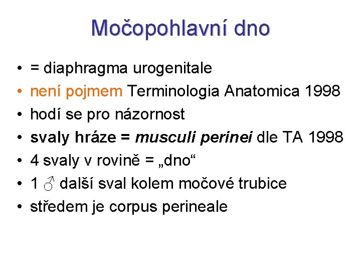 Močopohlavní dno • • = diaphragma urogenitale není pojmem Terminologia Anatomica 1998 hodí se