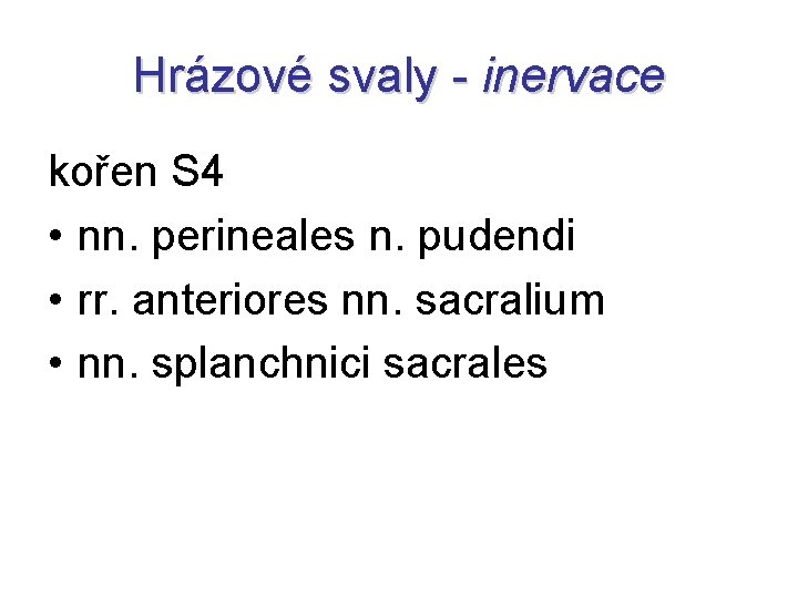 Hrázové svaly - inervace kořen S 4 • nn. perineales n. pudendi • rr.