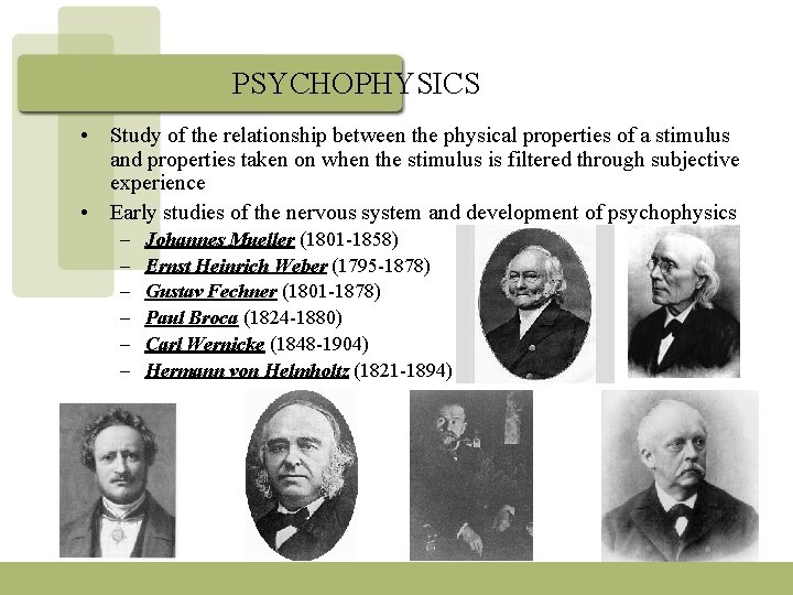 PSYCHOPHYSICS • Study of the relationship between the physical properties of a stimulus and