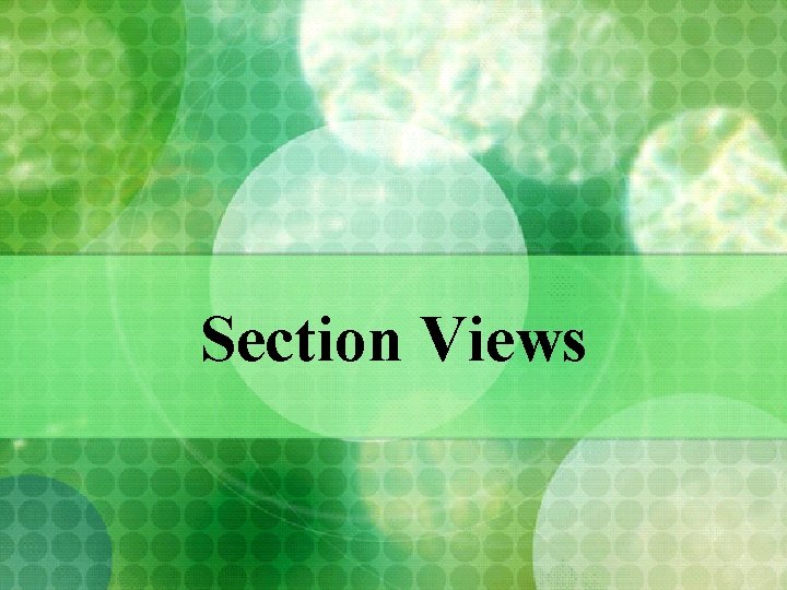 Section Views 