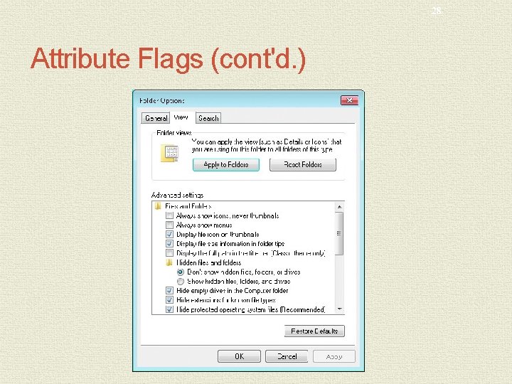28 Attribute Flags (cont'd. ) 
