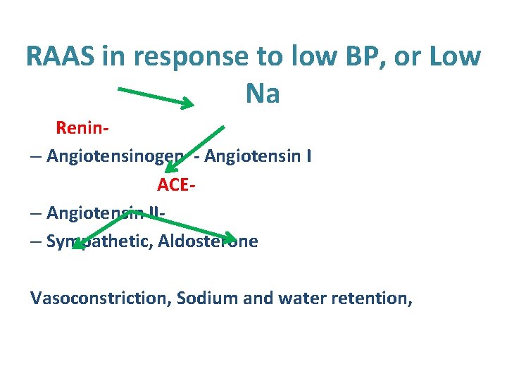 RAAS in response to low BP, or Low Na Renin– Angiotensinogen - Angiotensin I