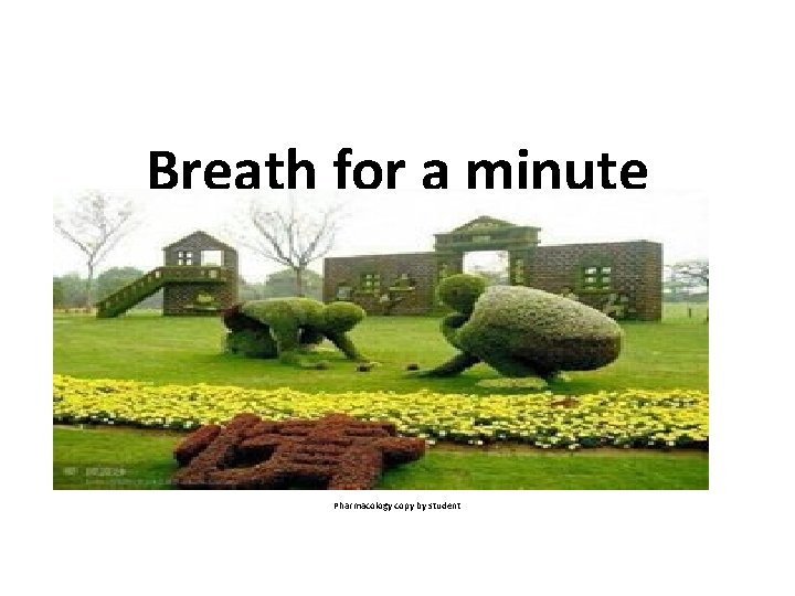 Breath for a minute Pharmacology copy by student 