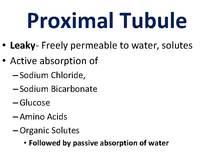 Proximal Tubule • Leaky- Freely permeable to water, solutes • Active absorption of –