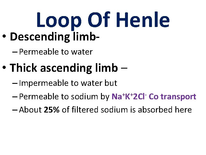 Loop Of Henle • Descending limb– Permeable to water • Thick ascending limb –