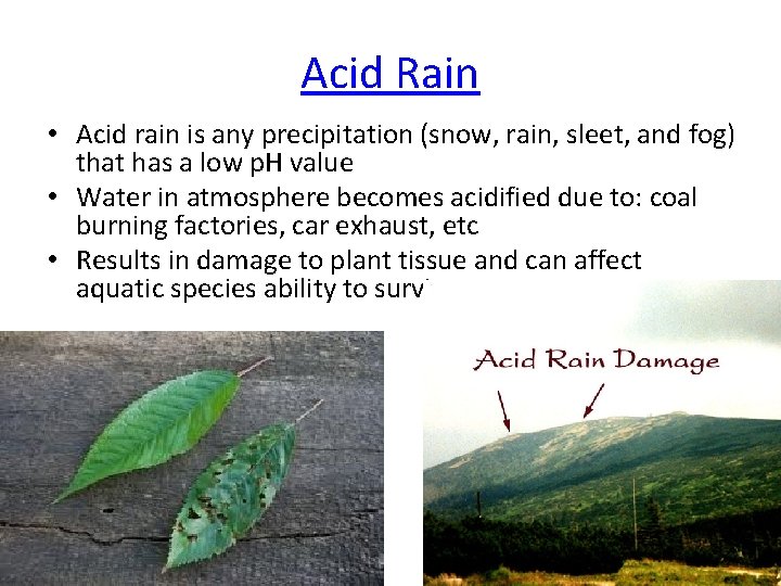 Acid Rain • Acid rain is any precipitation (snow, rain, sleet, and fog) that