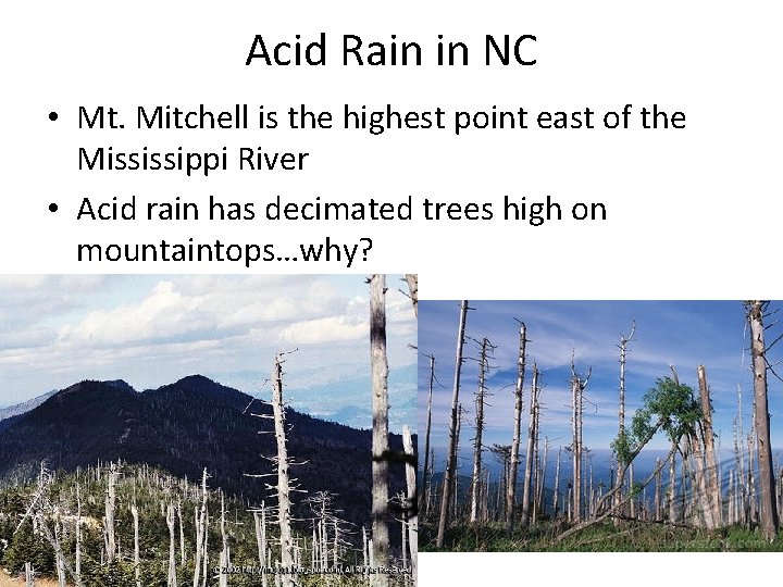 Acid Rain in NC • Mt. Mitchell is the highest point east of the