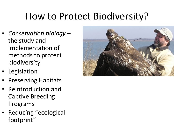 How to Protect Biodiversity? • Conservation biology – the study and implementation of methods