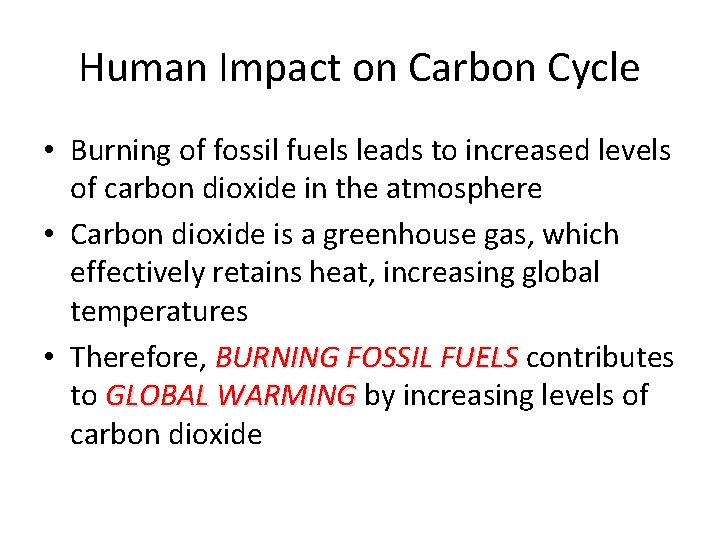 Human Impact on Carbon Cycle • Burning of fossil fuels leads to increased levels