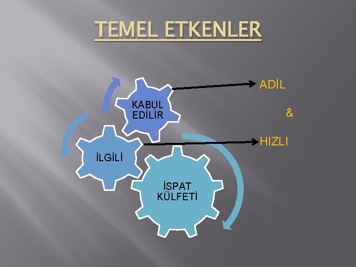 TEMEL ETKENLER ADİL KABUL EDİLİR & HIZLI İLGİLİ İSPAT KÜLFETİ 