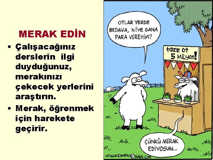 MERAK EDİN • Çalışacağınız derslerin ilgi duyduğunuz, merakınızı çekecek yerlerini araştırın. • Merak, öğrenmek