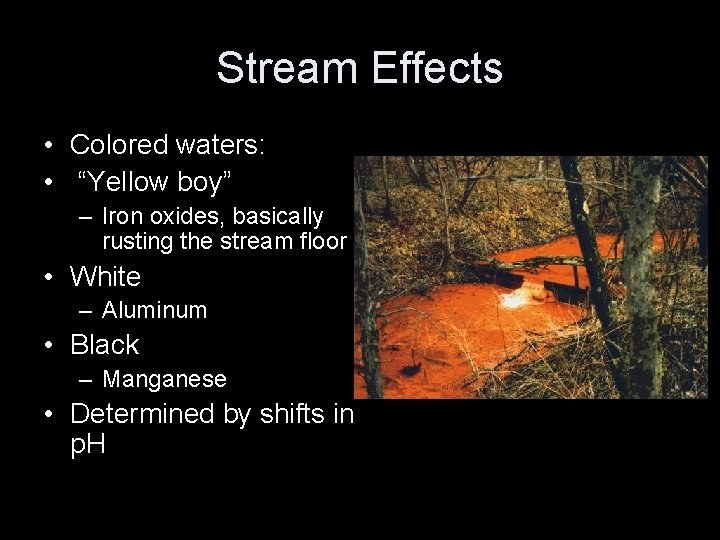 Stream Effects • Colored waters: • “Yellow boy” – Iron oxides, basically rusting the