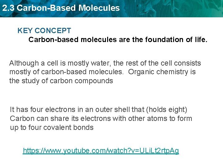 2. 3 Carbon-Based Molecules KEY CONCEPT Carbon-based molecules are the foundation of life. Although