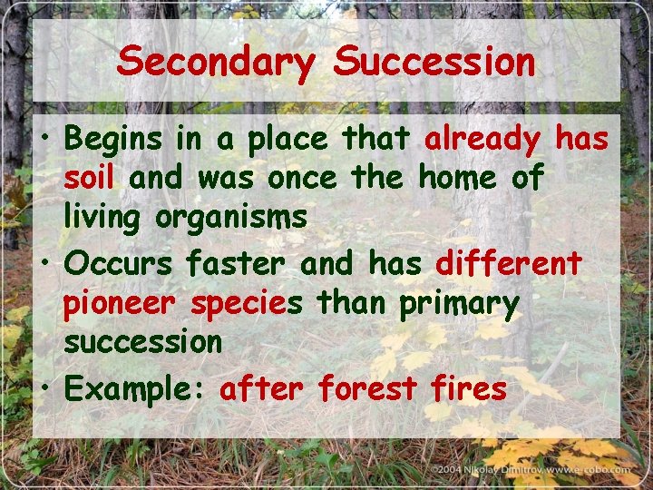 Secondary Succession • Begins in a place that already has soil and was once