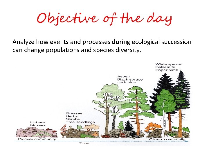 Objective of the day Analyze how events and processes during ecological succession can change