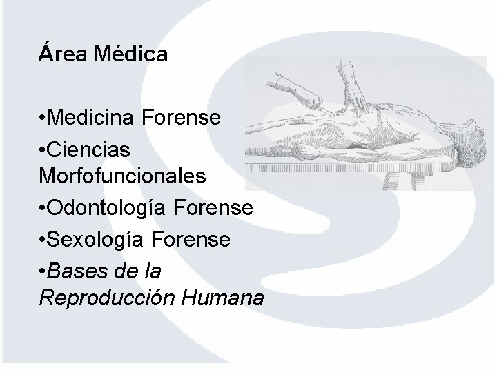 Área Médica • Medicina Forense • Ciencias Morfofuncionales • Odontología Forense • Sexología Forense