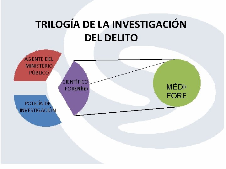 TRILOGÍA DE LA INVESTIGACIÓN DELITO AGENTE DEL MINISTERIO PÚBLICO CIENTÍFICO Other FORENSE POLICÍA DE