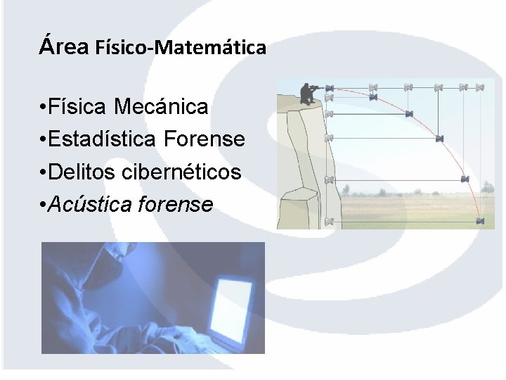Área Físico-Matemática • Física Mecánica • Estadística Forense • Delitos cibernéticos • Acústica forense