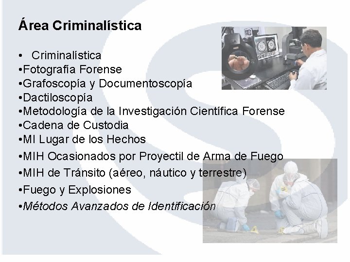 Área Criminalística • Fotografía Forense • Grafoscopía y Documentoscopía • Dactiloscopía • Metodología de
