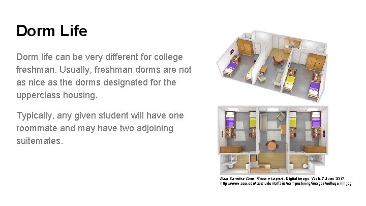 Dorm Life Dorm life can be very different for college freshman. Usually, freshman dorms