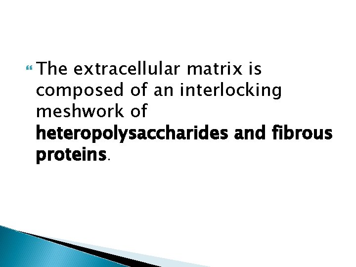  The extracellular matrix is composed of an interlocking meshwork of heteropolysaccharides and fibrous