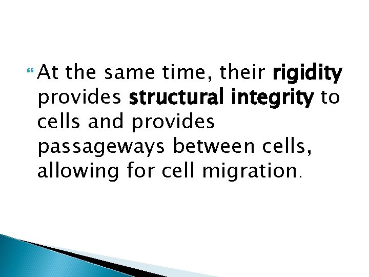  At the same time, their rigidity provides structural integrity to cells and provides