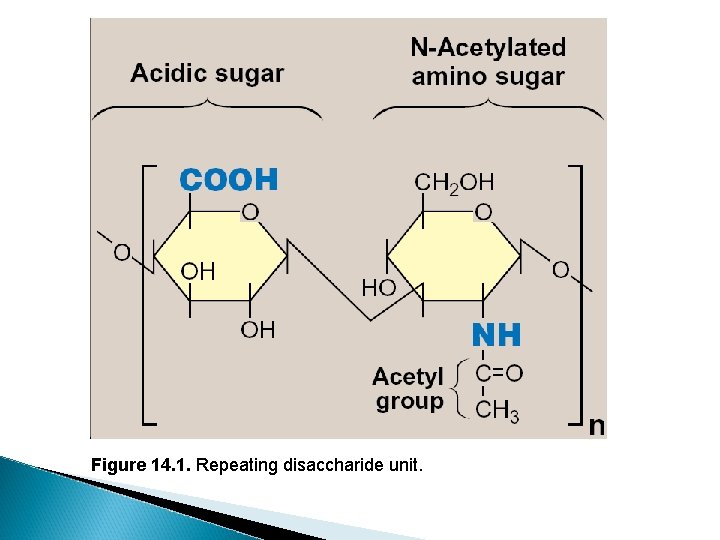 Figure 14. 1. Repeating disaccharide unit. 