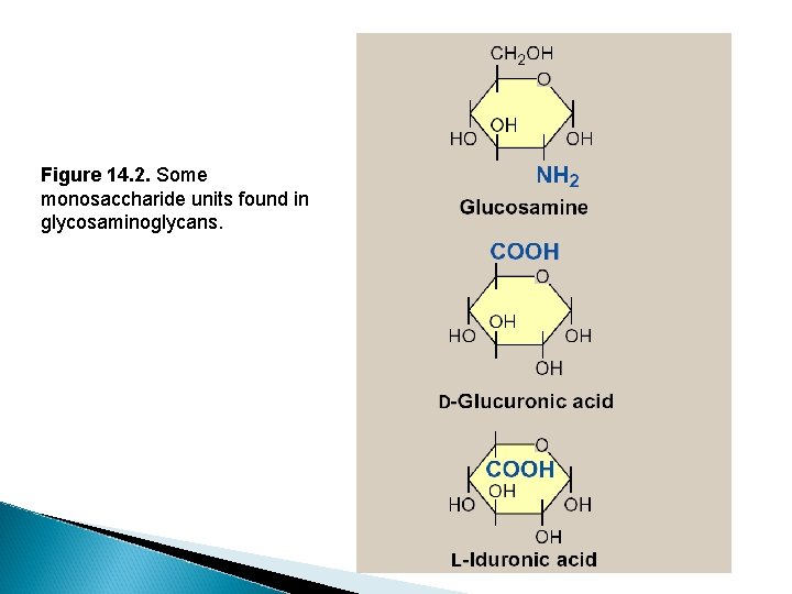 Figure 14. 2. Some monosaccharide units found in glycosaminoglycans. 