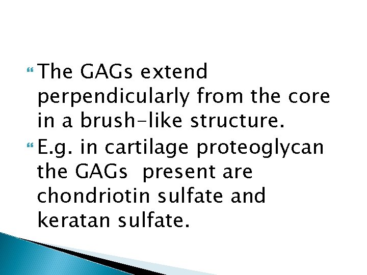  The GAGs extend perpendicularly from the core in a brush-like structure. E. g.