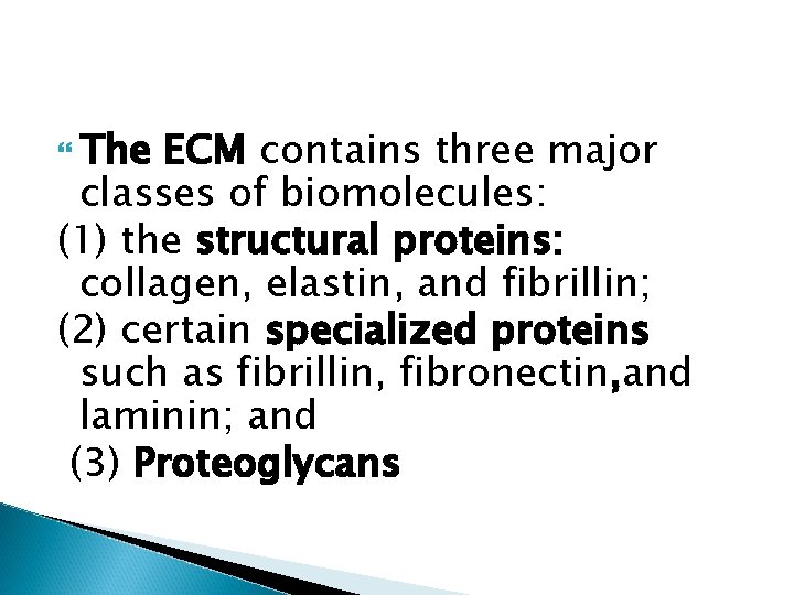  The ECM contains three major classes of biomolecules: (1) the structural proteins: collagen,