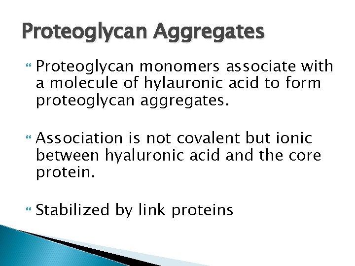 Proteoglycan Aggregates Proteoglycan monomers associate with a molecule of hylauronic acid to form proteoglycan