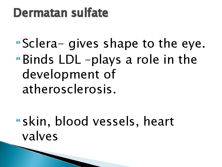 Dermatan sulfate Sclera- gives shape to the eye. Binds LDL –plays a role in