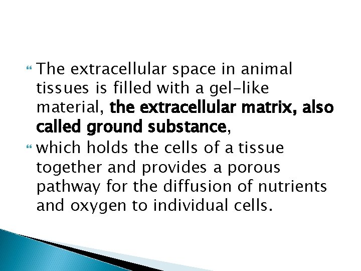 The extracellular space in animal tissues is filled with a gel-like material, the extracellular