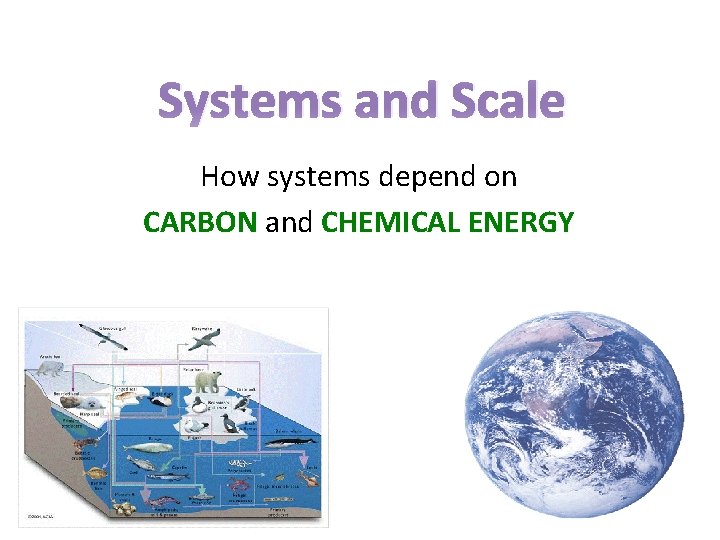 Systems and Scale How systems depend on CARBON and CHEMICAL ENERGY 