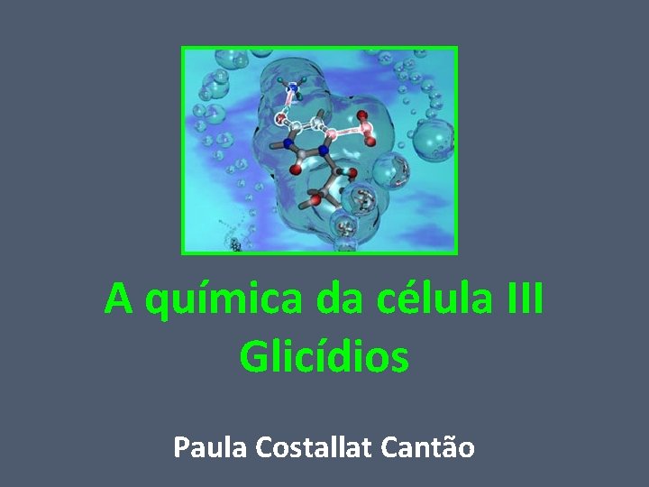 A química da célula III Glicídios Paula Costallat Cantão 