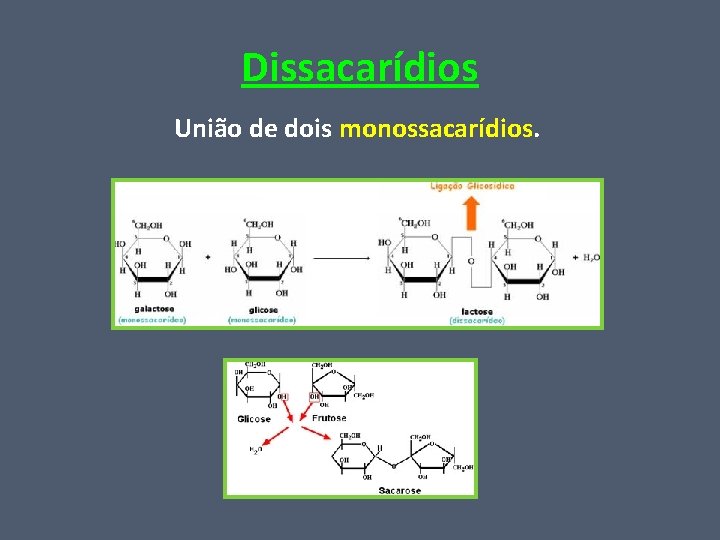 Dissacarídios União de dois monossacarídios. 