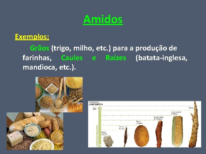 Amidos Exemplos: Grãos (trigo, milho, etc. ) para a produção de farinhas, Caules e