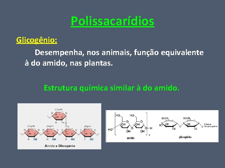 Polissacarídios Glicogênio: Desempenha, nos animais, função equivalente à do amido, nas plantas. Estrutura química