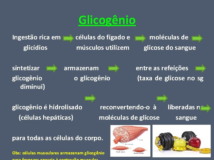 Glicogênio Ingestão rica em glicídios sintetizar glicogênio diminui) células do fígado e músculos utilizem