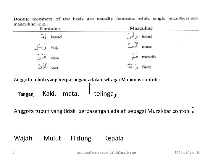 Anggota tubuh yang berpasangan adalah sebagai Muannas contoh : Tangan, Kaki, mata, ﺃ telinga, Anggota tubuh yang berpasangan adalah sebagai Muannas contoh : Tangan, Kaki, mata, ﺃ telinga,