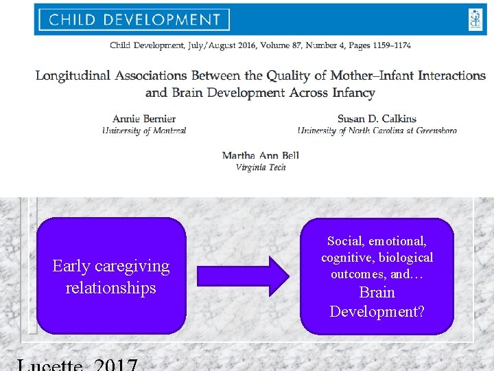 Early caregiving relationships Social, emotional, cognitive, biological outcomes, and… Brain Development? 