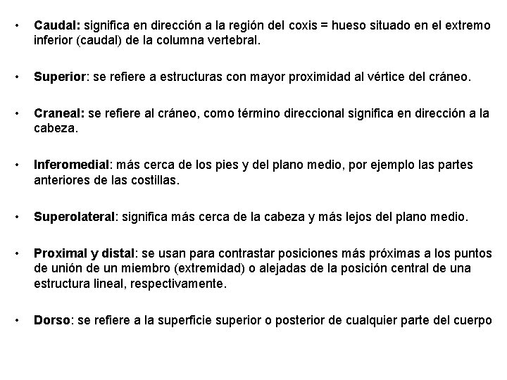  • Caudal: significa en dirección a la región del coxis = hueso situado