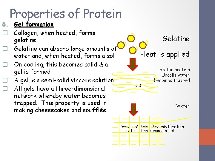Properties of Protein 6. Gel formation � Collagen, when heated, forms gelatine � Gelatine Properties of Protein 6. Gel formation � Collagen, when heated, forms gelatine � Gelatine