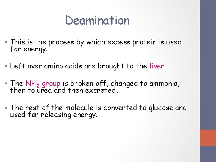 Deamination • This is the process by which excess protein is used for energy. Deamination • This is the process by which excess protein is used for energy.