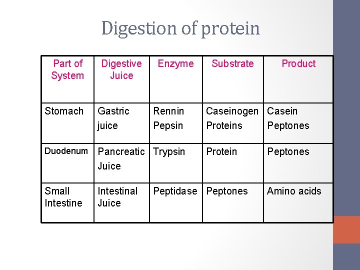 Digestion of protein Part of System Stomach Digestive Juice Gastric juice Enzyme Rennin Pepsin Digestion of protein Part of System Stomach Digestive Juice Gastric juice Enzyme Rennin Pepsin
